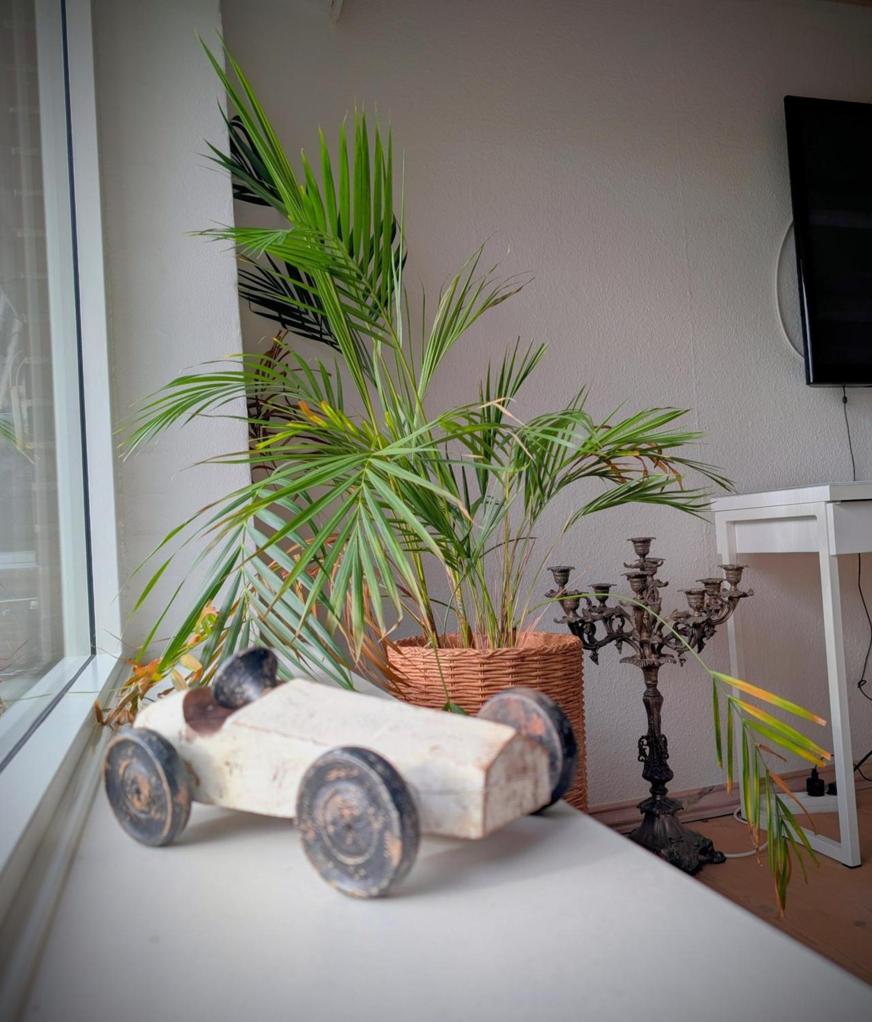 Spottrup Villa Wunder מראה חיצוני תמונה